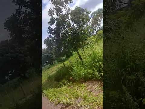 estrada de Mambaí GO