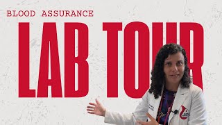 Exclusive Lab Tour with Dr. Liz Culler | Behind the Scenes at Blood Assurance