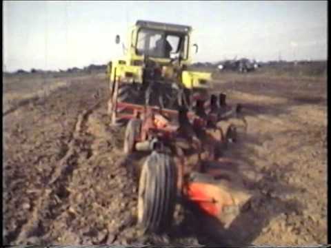 Rekultivierung 1. Abschnitt