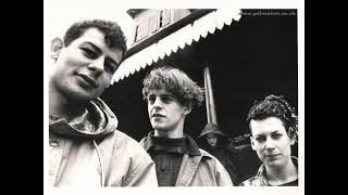 pale saints  -baby maker live