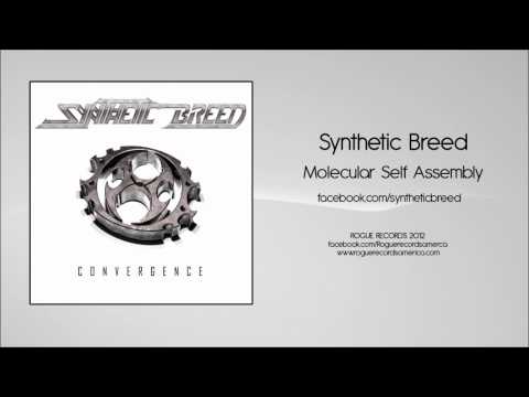 Synthetic Breed: Molecular Self Assembly [Rogue Records America]