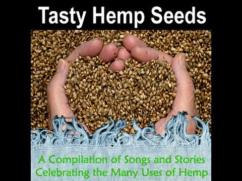 Hemp Music - Tasty Hemp Seeds - 