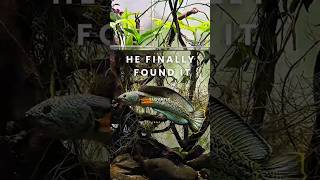 Download lagu Ini Rumah yang Tepat untuk Channa Barca❓ mp3