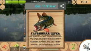 Как поймать глубинную щуку в реальной рыбалке