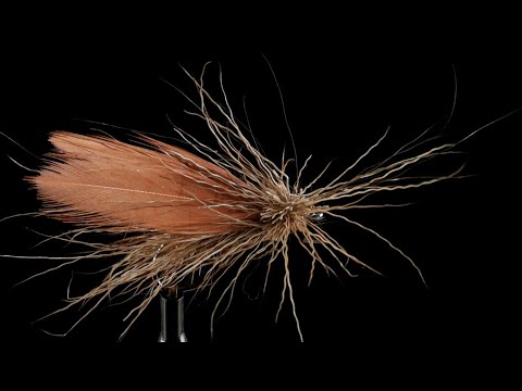 Caddis/ Sedge ( Mosca in Pelo - -Dry Fly )