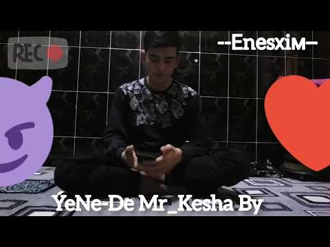 Mr_Kesha ( źivoý ses )