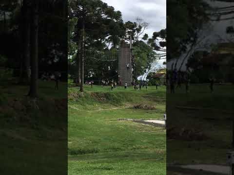 Anseios - Janz Team Gramado