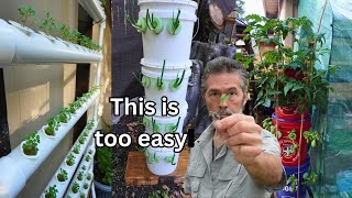 Old Man Upsets Gardening Community, Grows in Everything But Soil