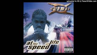 10. Xzibit - Bird&#39;s Eye View