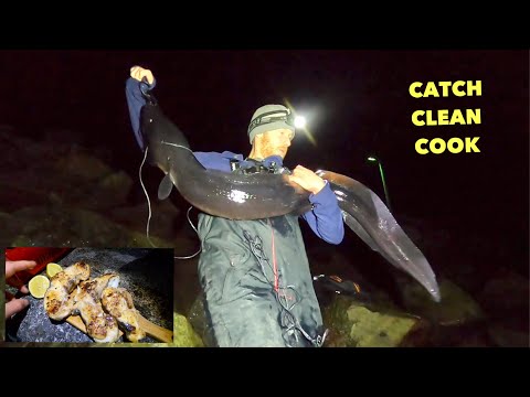 Hand Lining MASSIVE EELS By Hand ! Catch Clean Cook Conger Eel
