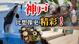 【🇯🇵神戶旅行必看②】超高CP值&超方便飯店發現✨療癒系絕景自助餐午餐‼️價格全部公開❣️ ♫Yukari Original Music