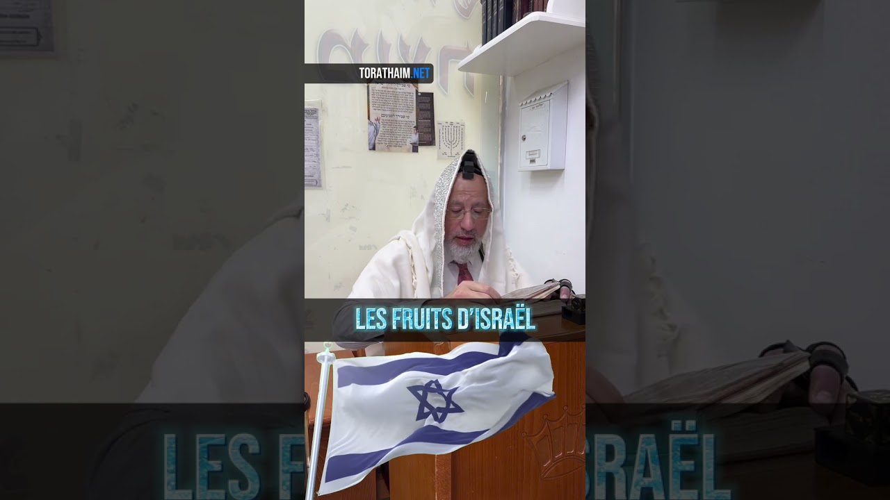 Les fruits d’israël 🇮🇱 - Tou Bishvat