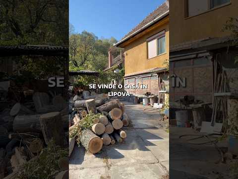Casă spațioasă cu teren generos, Radna Lipova — Video