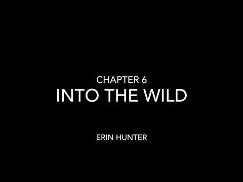Into the wild - chapter 6