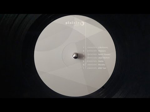 PLAISIR Caché / 4. UNKNOWN - Juuri Rythmi