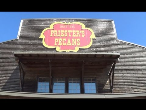 download lagu mp3 mp4 Pecan Farms In Alabama, download lagu Pecan Farms In Alabama gratis, unduh video klip Pecan Farms In Alabama