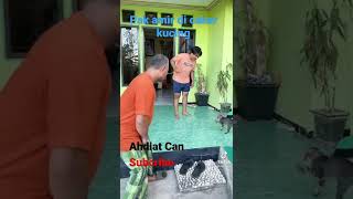 Download lagu pak amir di cakar kucing mp3 Download lagu pak amir di cakar kucing mp3