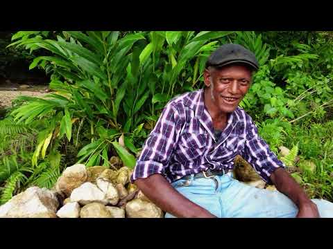 DICKSON SALE - SIDE LO SULU NOMOA [MUSICVIDEO] 2025