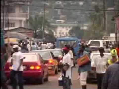 Steady Bongo - Traffic Combolo