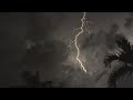 Tropical Thunderstorm & Rain Sounds For Sleeping, Relaxing ~ Rumbling Storm Equatorial Ambience