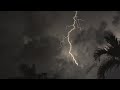 Tropical Thunderstorm Rain Sounds For Sleeping Relaxing Rumbling Storm Equatorial Ambience