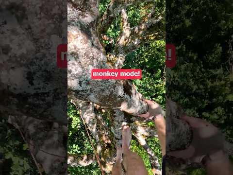 I did NOT want this to happen...