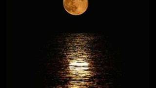 Stanley Clarke  "Black On Black Crime"