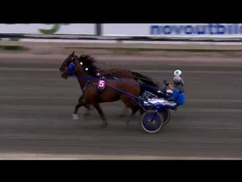 Timoko  2017