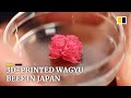 Scientists In Japan Create 3D Printed Wagyu Beef