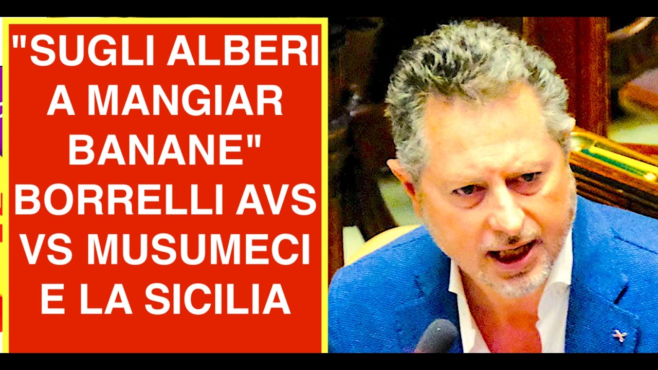 "SUGLI ALBERI A MANGIAR BANANE" BORRELLI AVS VS MUSUMECI E LA SICILIA