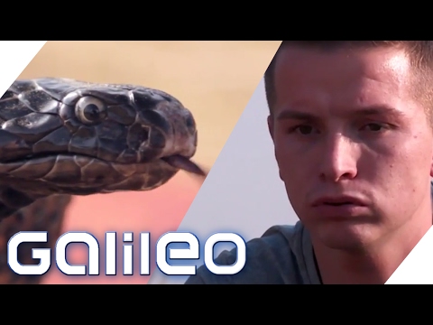 Aaron Troschke learns the tricks of the snake charmers | Galileo Lunch Break