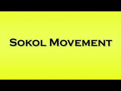 Pronunciation of Sokol Movement