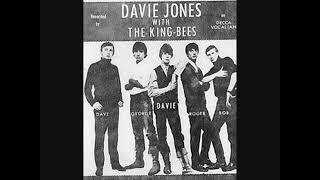 Davie Jones &amp; The King Bees   Louie Louie Go Home