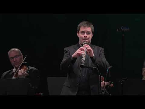 Albinoni - Oboe Concerto in D minor, Op. 9, No. 2 - Ramon Ortega, oboe - Zagreb Soloists