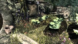 Elder Scrolls Skyrim + Hobbit Mod = Awesome!