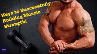 How to Build Muscle Strength! Keys to Success.