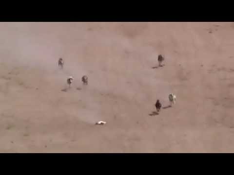 1ª SEMIFINAL 600MTS  MENTRIDA   5-9-2015