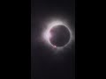 Elephants React To Total Solar Eclipse