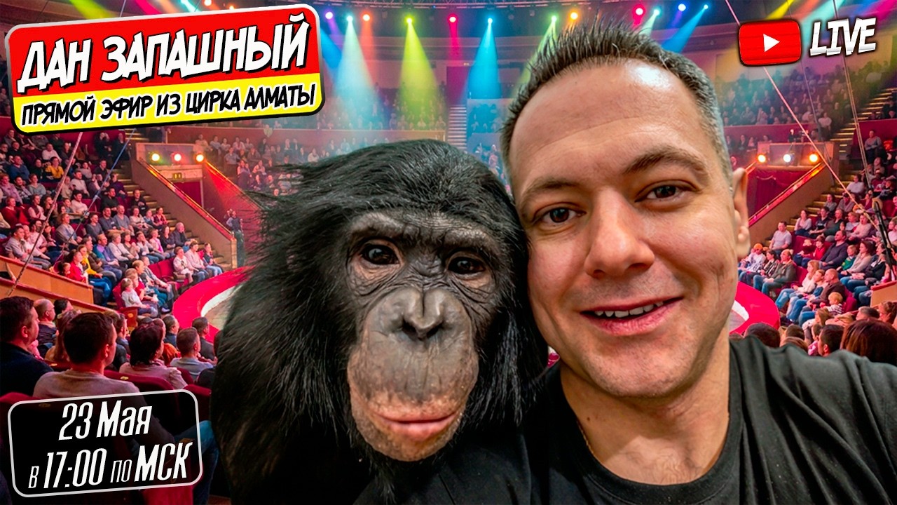 🔴 Уютный Эфирчик  с Шимпанзе Бонитой и Даном Запашным