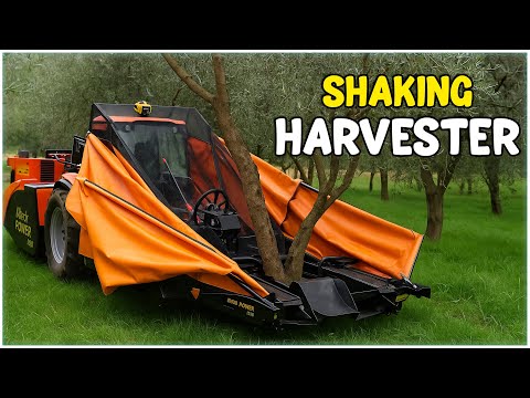 SHAKING Fruit Tree Harvesting Machine