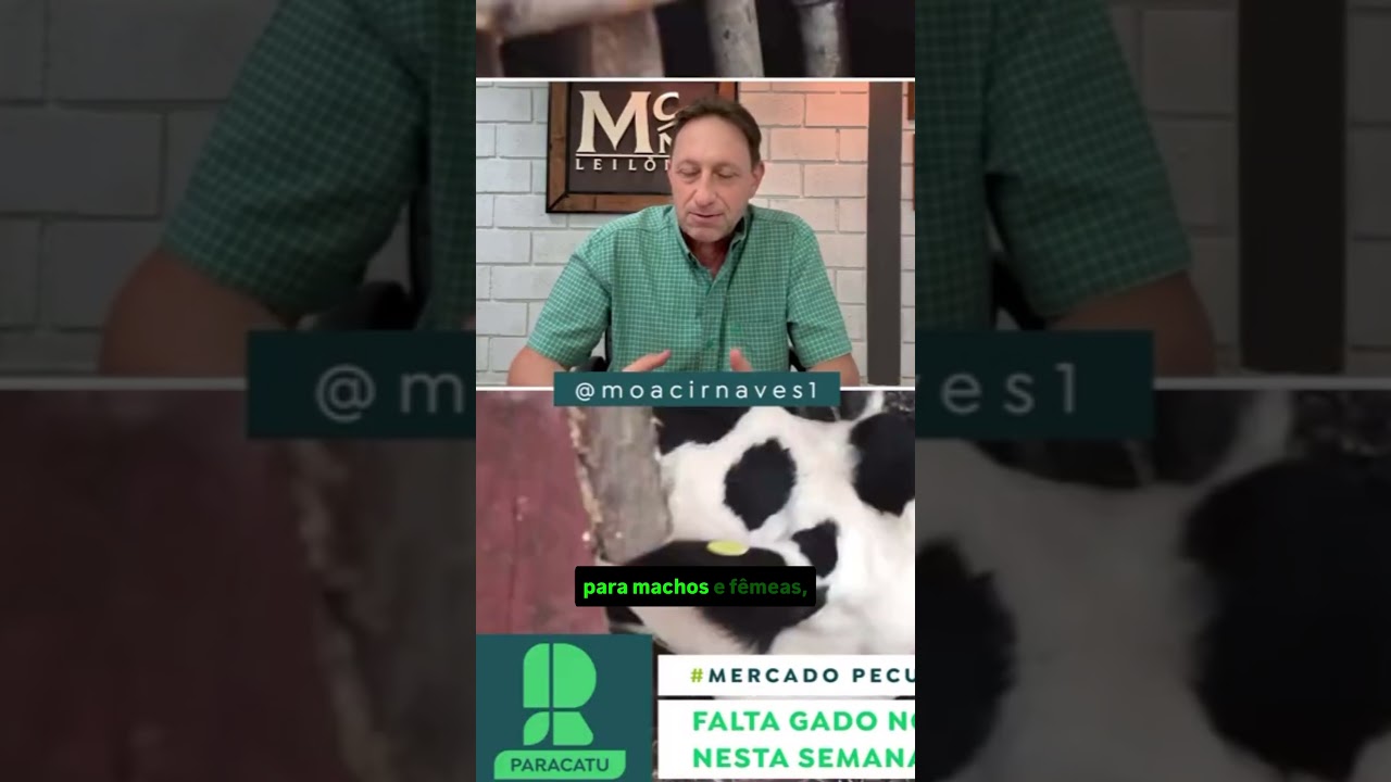 Fim das quedas para o boi e apetite chinês