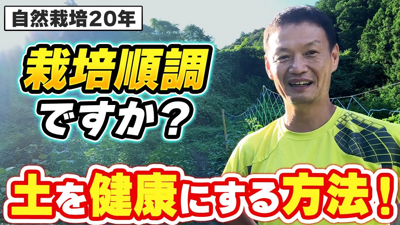 痩せた土を再生する自然栽培の知恵
