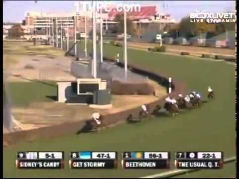 2010 Breeders cup Mile.