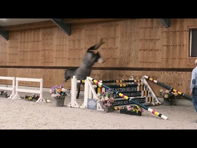 Jumping
