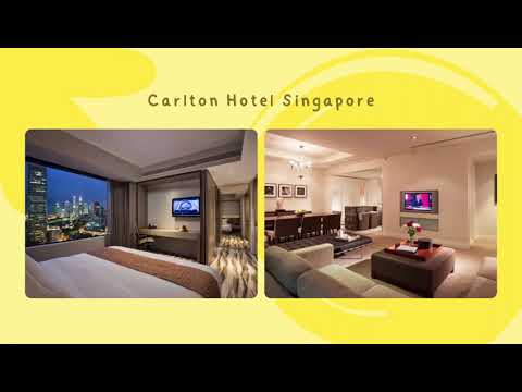Pet Friendly Hotels 29223 Available