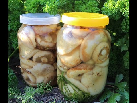 солёные грузди пошаговый рецепт с картинками смотреть