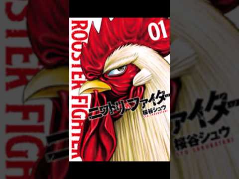 SAITAMA VS SONIC TODAS LAS PELEAS - AUDIO LATINO ONE PUNCH MAN