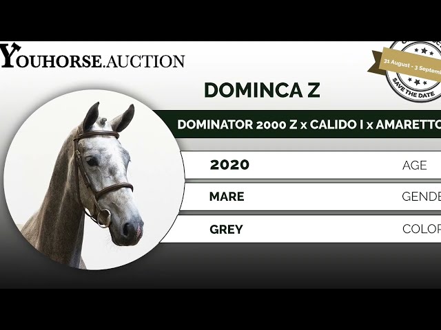 Dominca homevideo