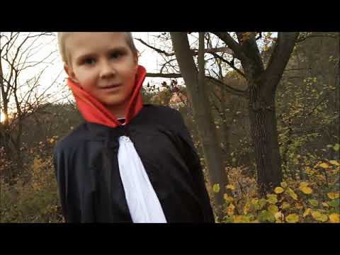 Dáma s hranostajem - Helfenburk