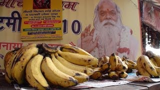 Mondo Banana - San Francisco Green Film Festival